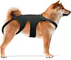 Whether your dog is recovering from an injury or surgery, our braces are an excellent option to support and stabilize your dog during the rehab process, enabling them to regain their mobility and happiness faster.