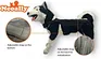 Dog Back Brace